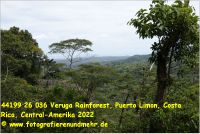 44199 26 036 Veruga Rainforest, Puerto Limon, Costa Rica, Central-Amerika 2022.jpg